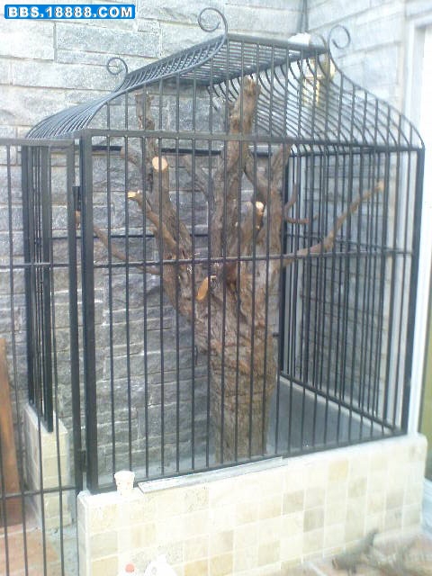 DSC00117.jpg