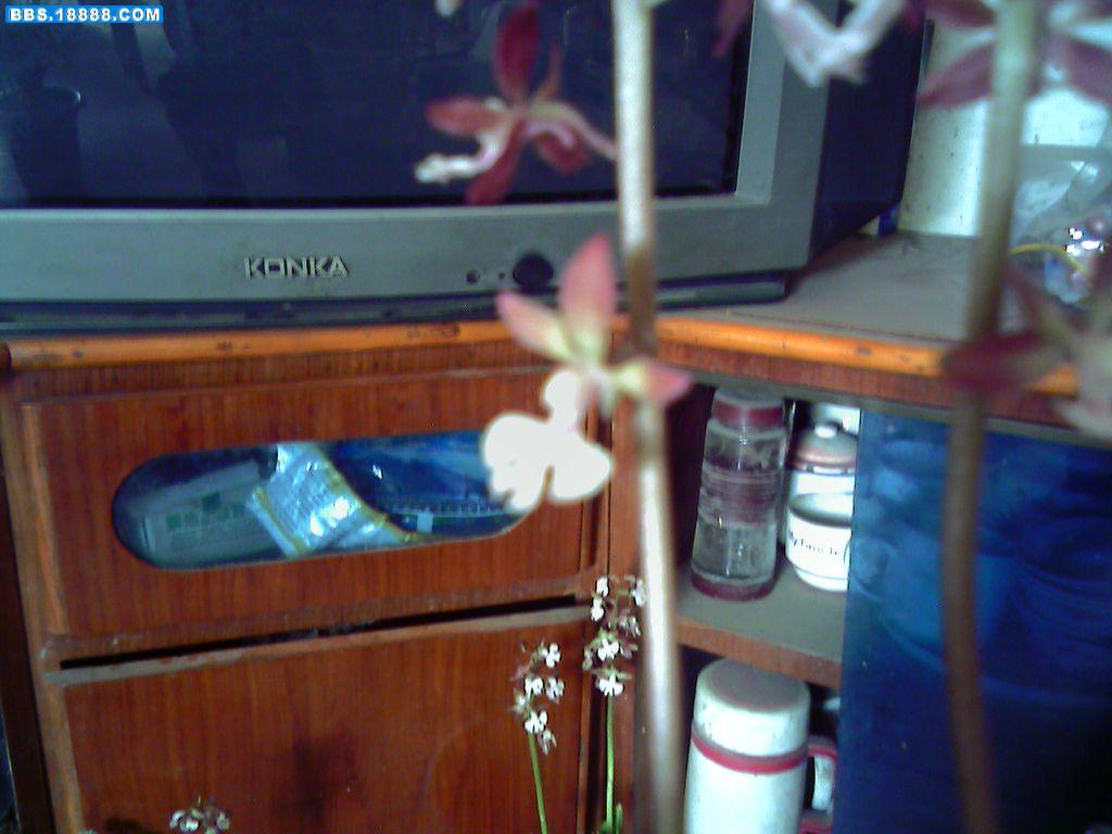 DSC00009.JPG