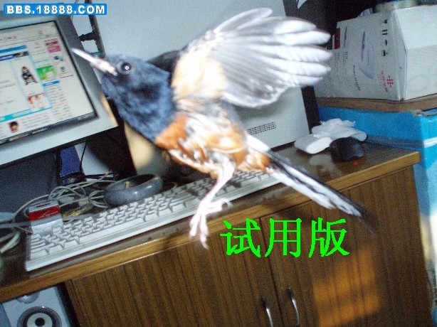 PB240057.JPG