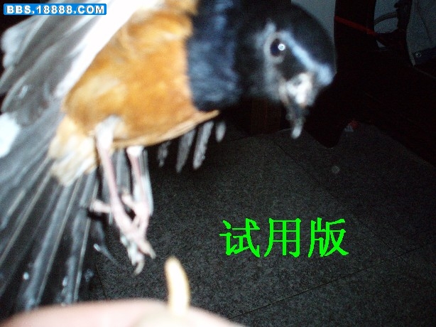 PB230016.JPG