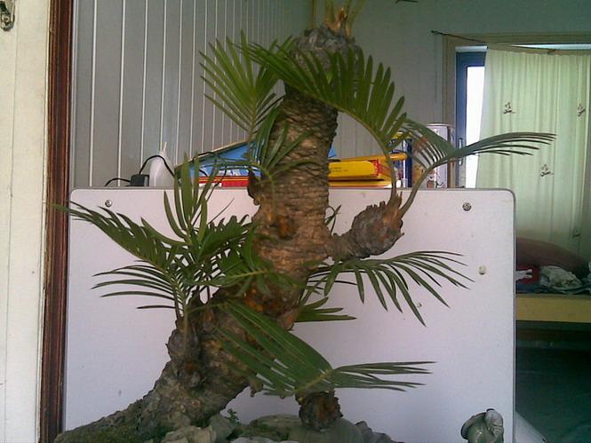 20070707(017).jpg