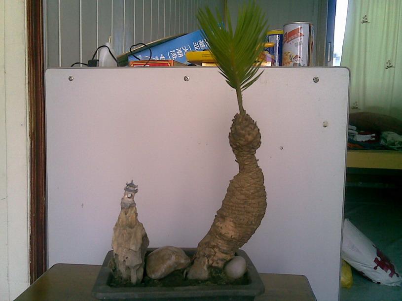 20070707(009).jpg