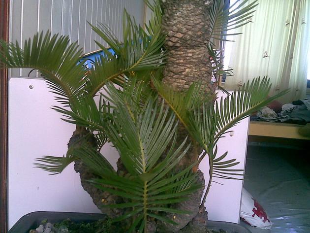 20070707(016).jpg