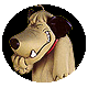 1D5EA6FDAEC2EB8AE30BDC62E14C7883.GIF