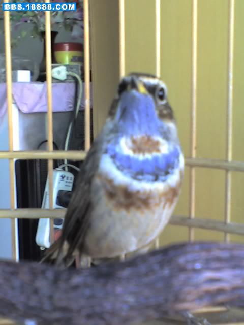 04-09-06_1215.jpg