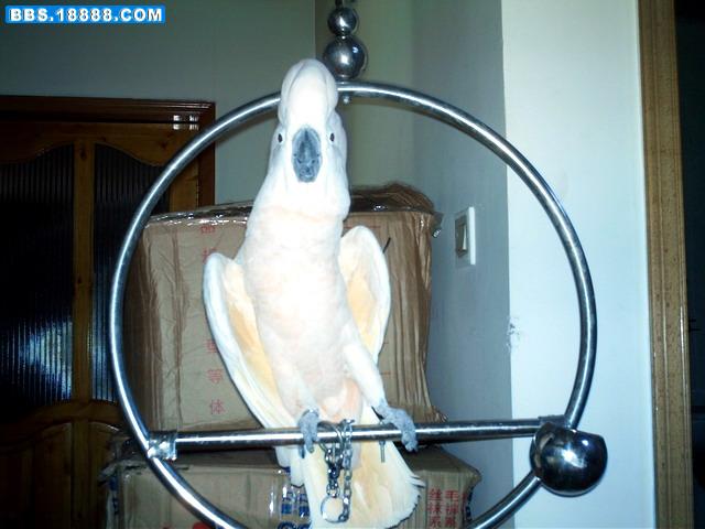 IMAG0460.jpg