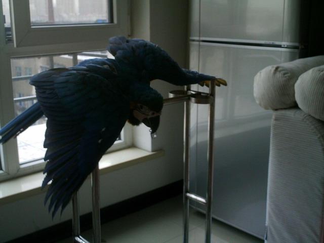 IMAG0038.jpg