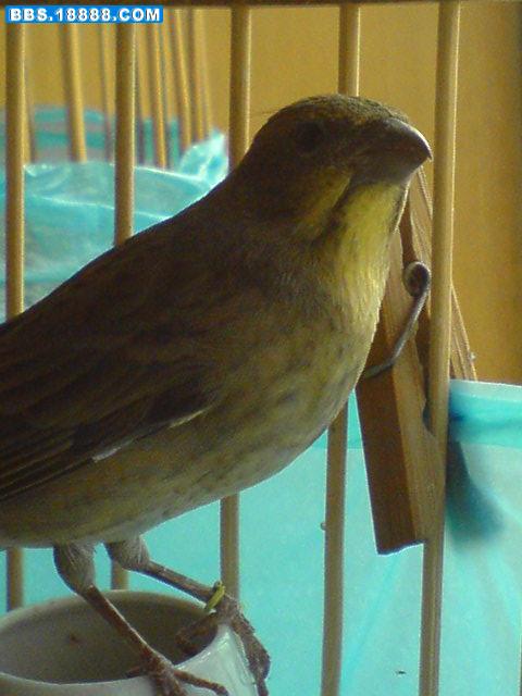 DSC00548.JPG