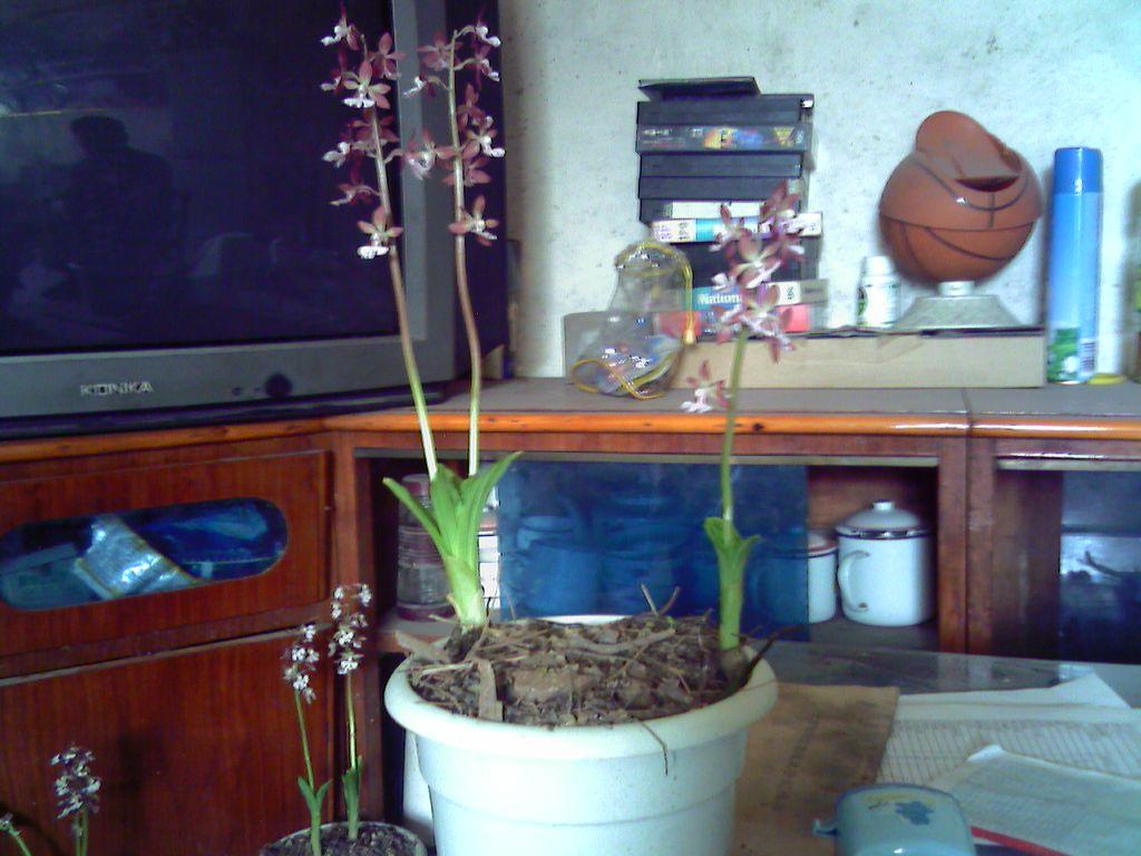 DSC00008永蕙.JPG