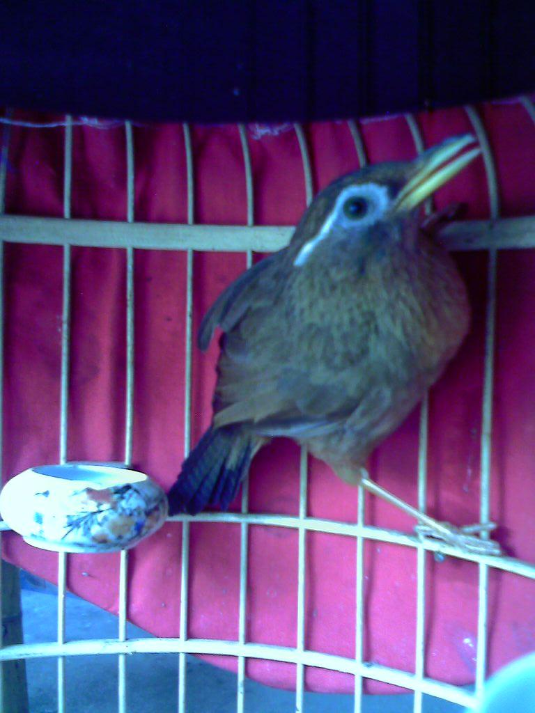 DSC00004.JPG
