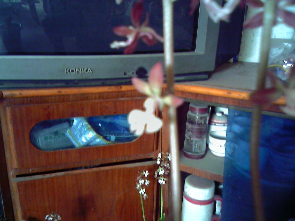 DSC00009.JPG