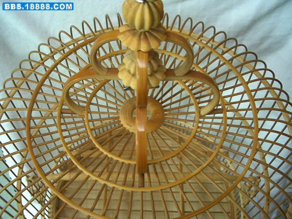 CIMG0478_缩小大小.jpg