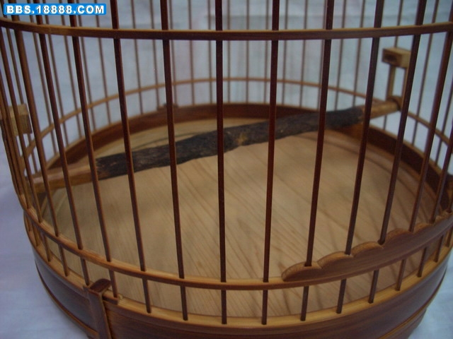 CIMG9237_缩小大小.jpg