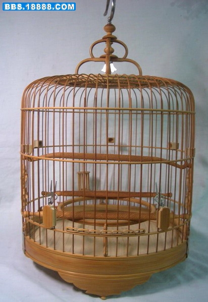 CIMG9911_缩小大小.jpg