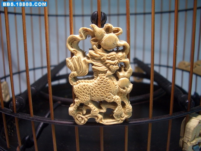 CIMG0730_缩小大小.JPG