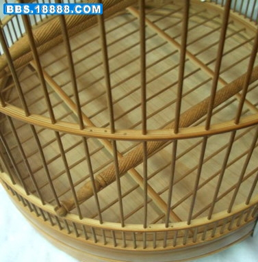 CIMG0481_缩小大小.jpg