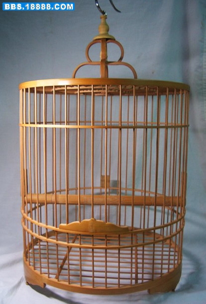 CIMG7753_缩小大小.jpg