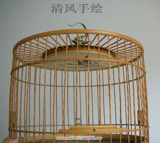 DSCN4545.jpg