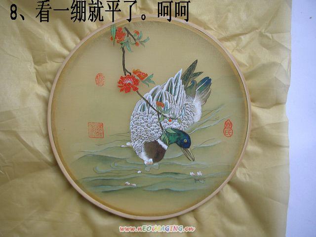 DSCN4690.jpg