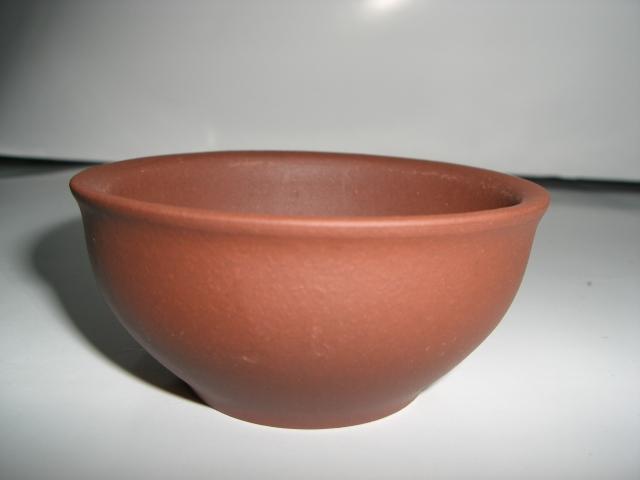 CIMG1820.JPG
