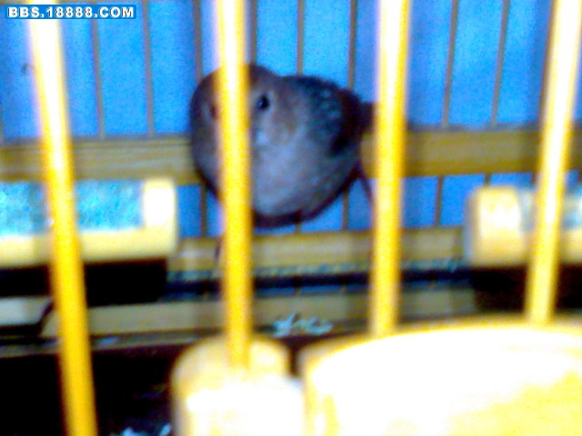 DSC01247.JPG