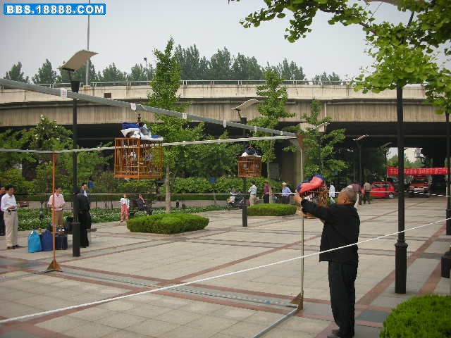 DSCN0247.JPG