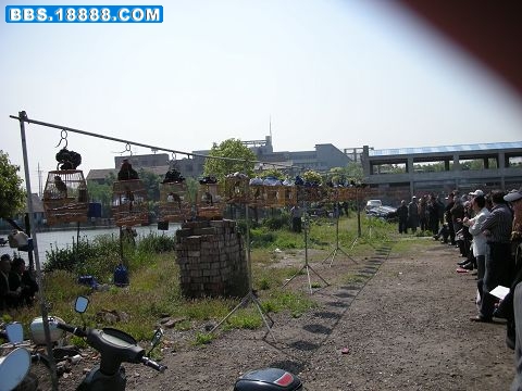 DSCN0221.jpg