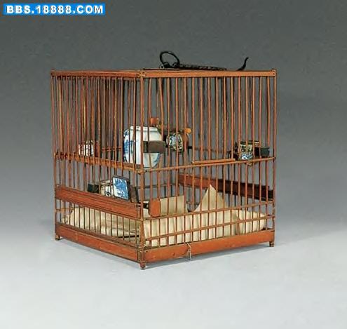 黄腾4.jpg
