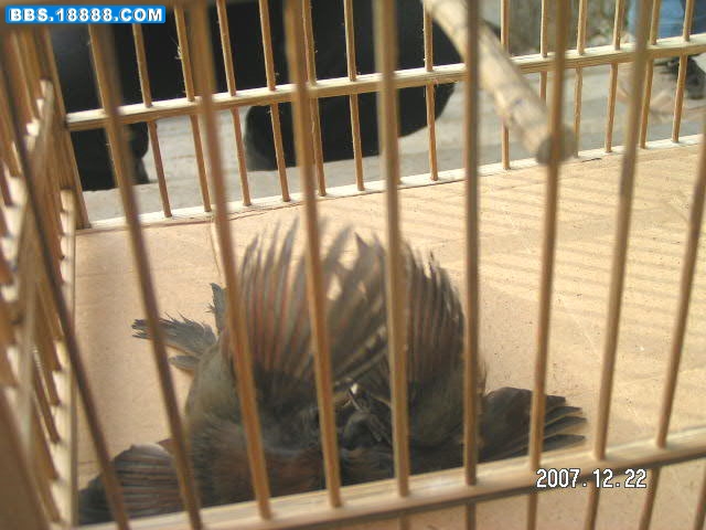 PICT0028.JPG