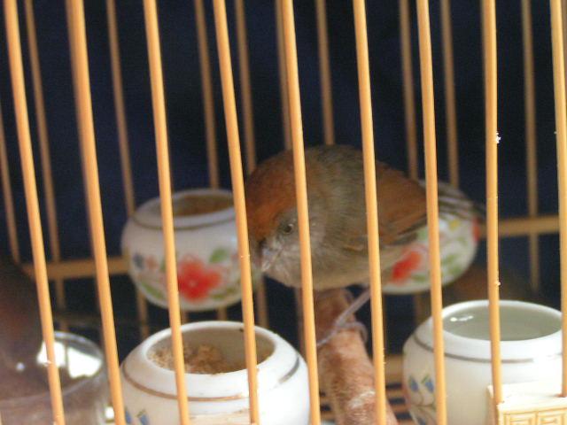 PICT0047.JPG