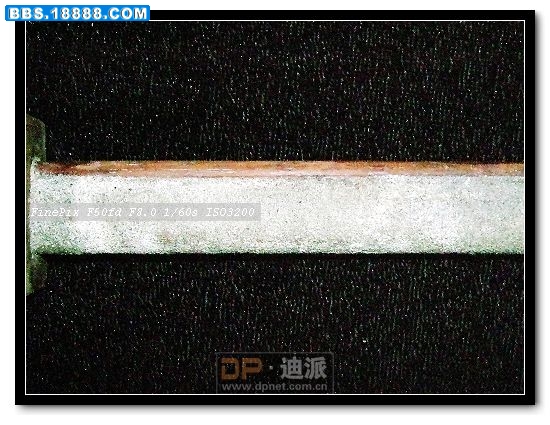 长度9.5公分宽1.7公分.jpg