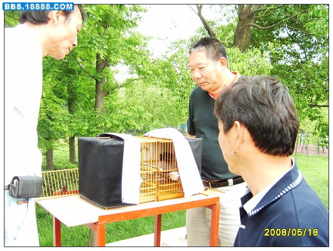 S5002998_nEO_IMG.jpg
