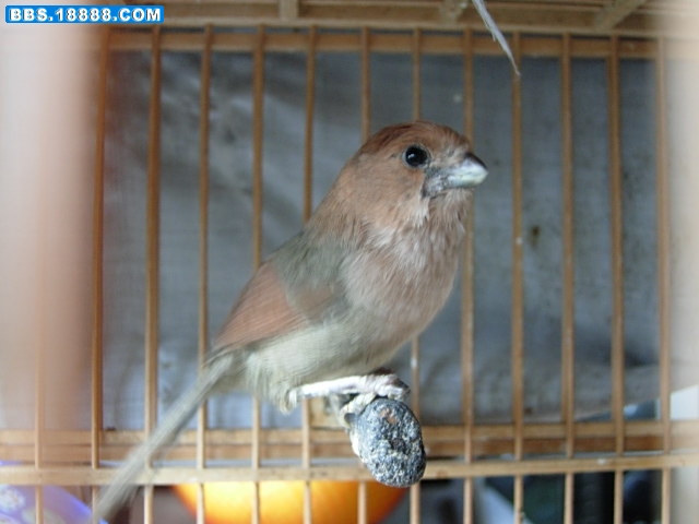 DSCN6763.JPG