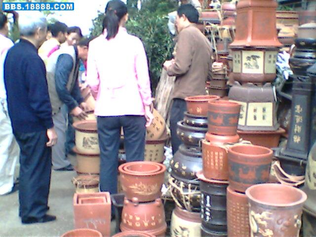 IMG0013C.jpg