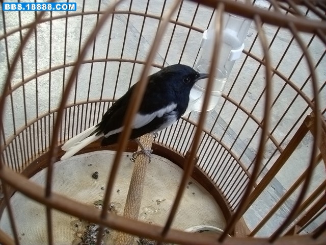 PICT1059.jpg