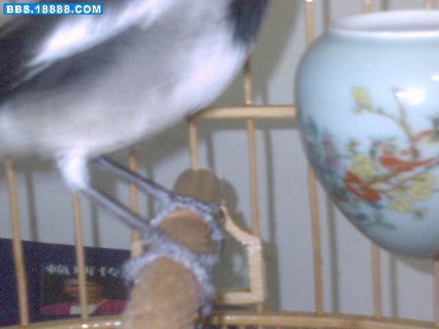 DSC00065.JPG