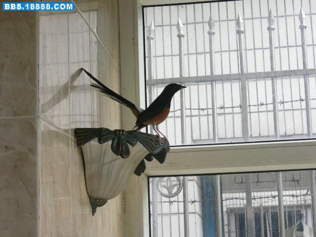 P1120111.JPG