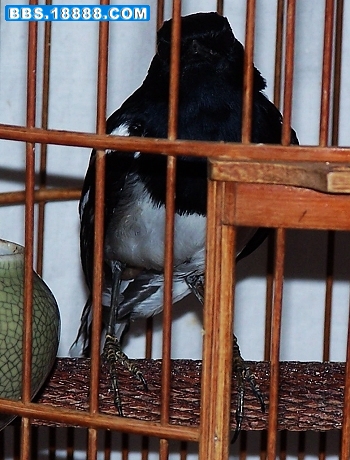 102_6280.jpg