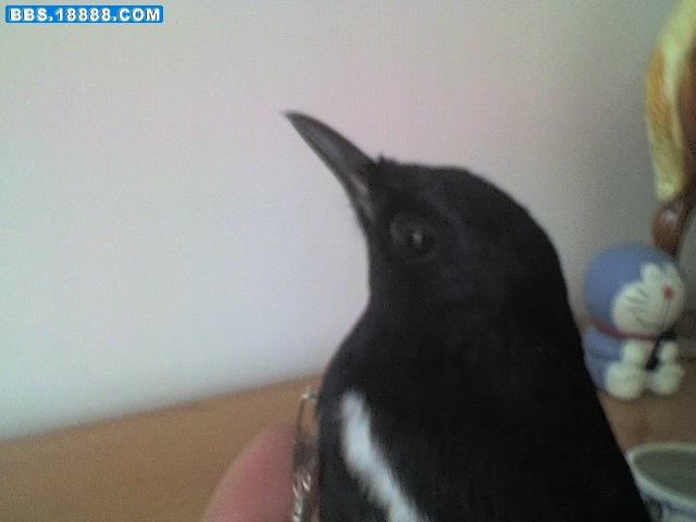 25-11-07_1156.jpg