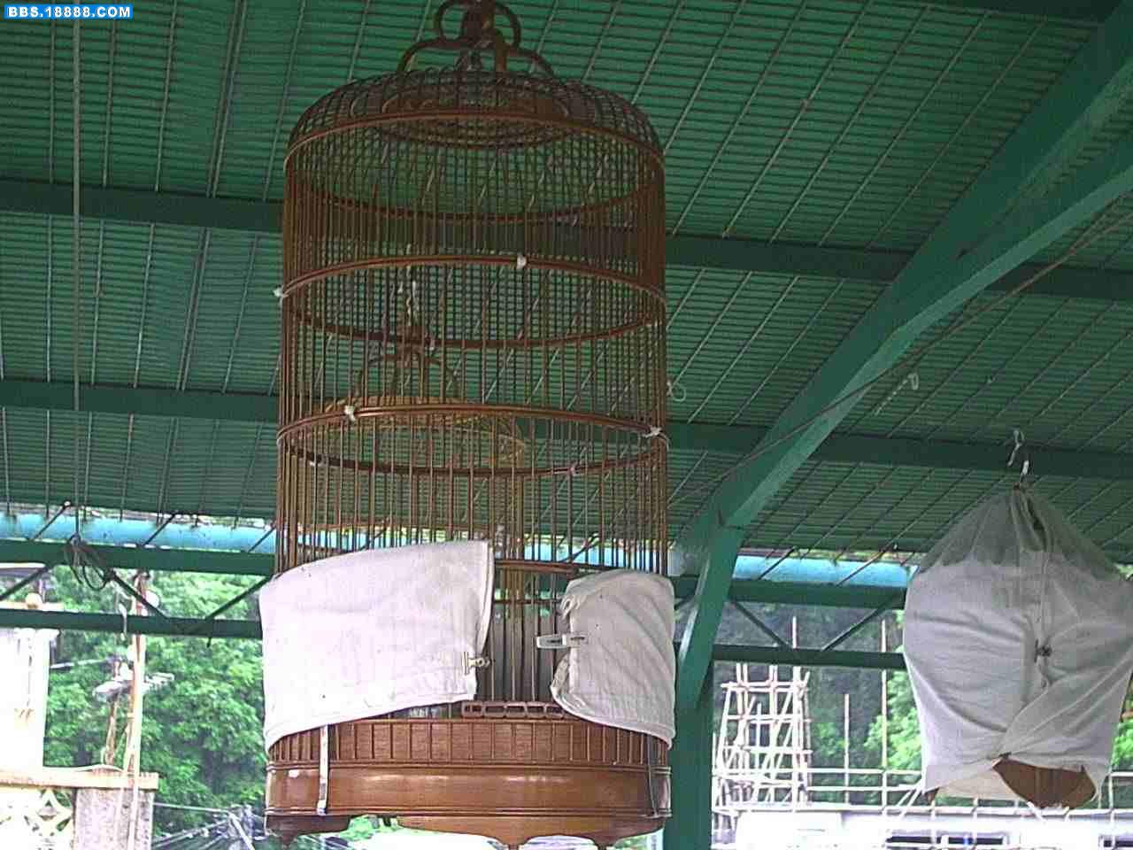 PICT0010.JPG