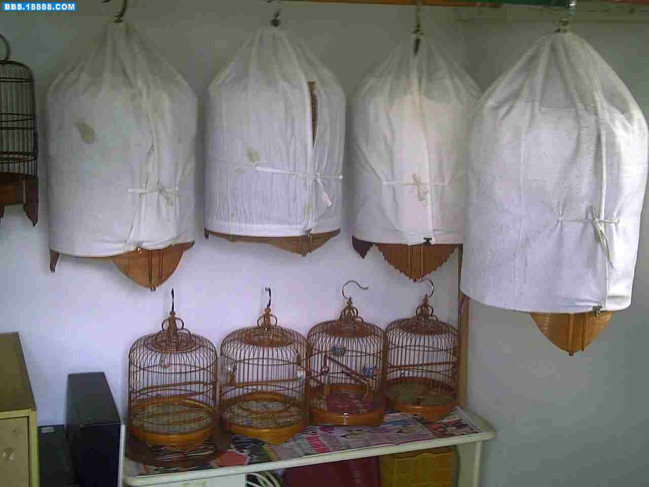 PICT0001.JPG