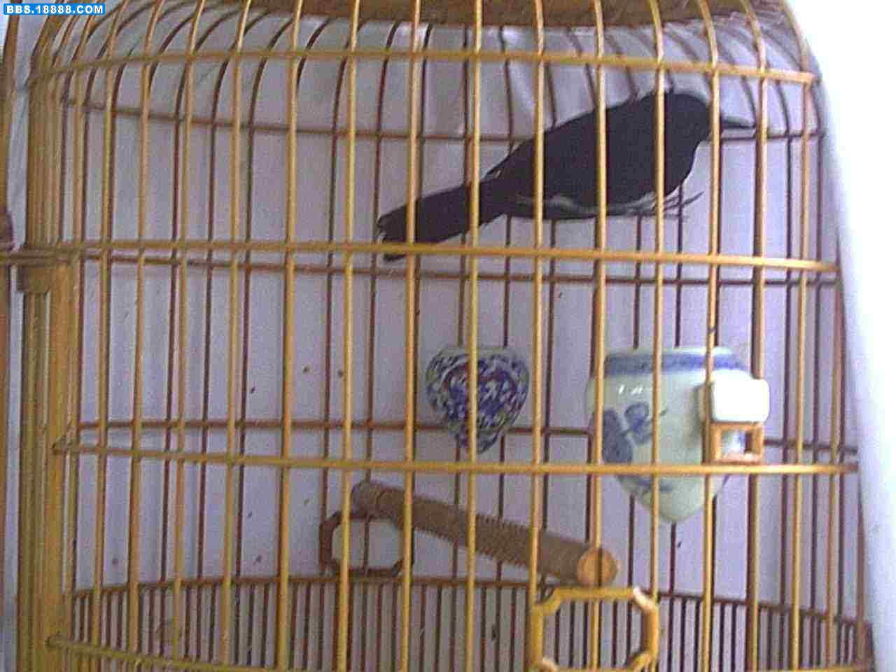 PICT0004.JPG