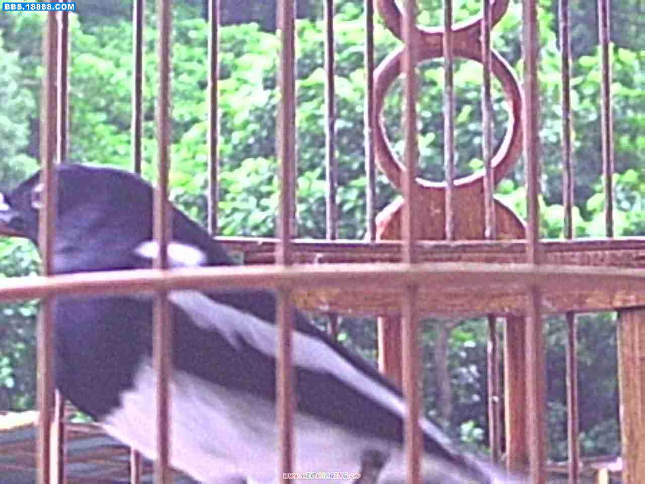 PICT0033.JPG