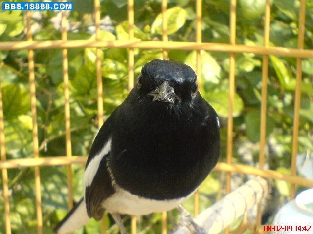 DSC01526.JPG