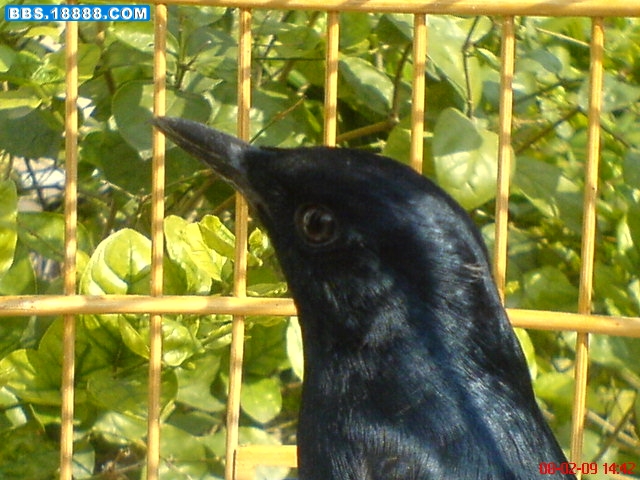 DSC01524.JPG