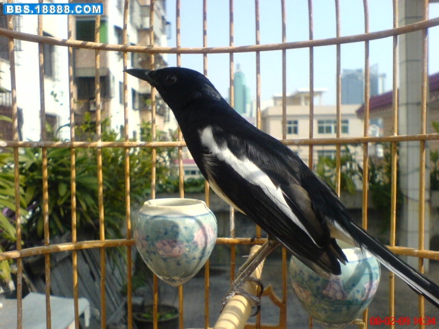 DSC01511.JPG