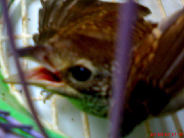 DSC00542.JPG