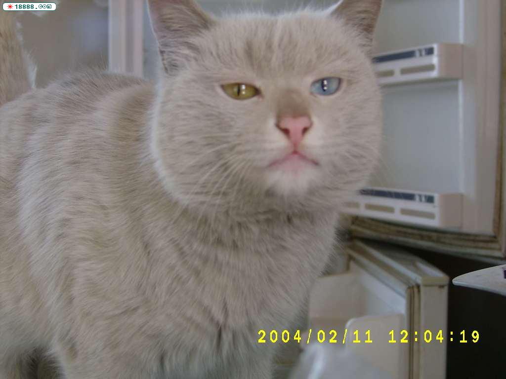 S3600006.JPG
