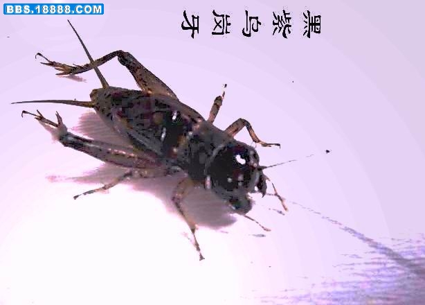 未命名2.jpg