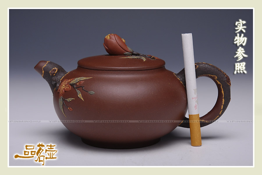 应晓忠-玉兰6.jpg